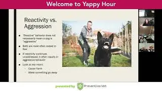 Yappy Hour — Leash Reactivity & Dog Aggression 10.28.2020