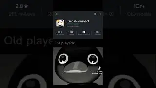 Genshin Impact Anniversary Belike