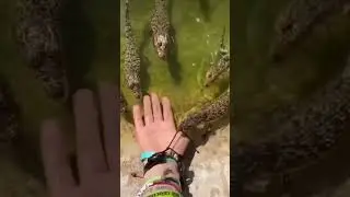 How small monsters eating fingers 😱