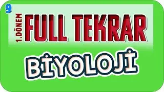 9.Sınıf 1.Dönem Biyoloji Full Tekrar 🔁 