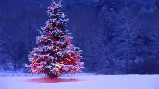 Поздравление с Новым годом от 2 "Б" класса