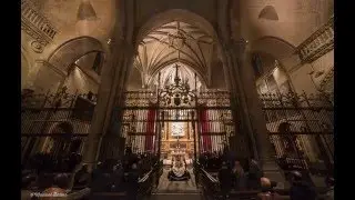 Vía Crucis en la Catedral de Zamora - Jesús Yacente