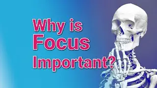 Why Your Content Needs a Focus