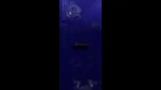2 Idiots Try to Survive 5 Nights in the Average Ohio Restaurant