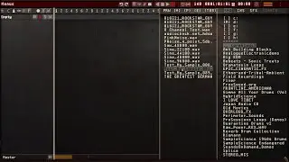 Wusik Station STX Audio Importing / Looping and Internal Effects