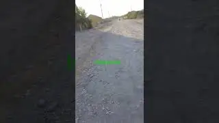 25 августа 2024 г.