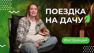 Как подготовить питомца к поездке на дачу | Сезон защиты от паразитов - 4 серия