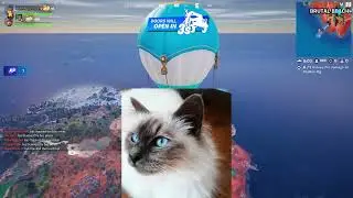 Stampy Cat 2144 Plays Fortnite