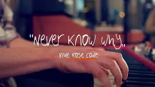 Blue Rose Code - Never Know Why (Live)