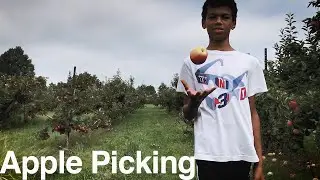 Apple Picking