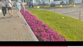 Москва.Каширская Плаза.