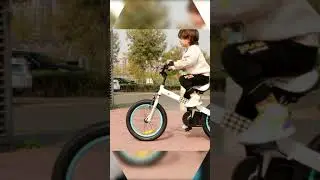 Royalbaby Button DIY Your Little One his Own Bike