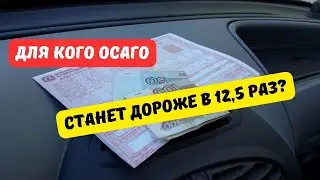 Для кого ОСАГО станет дороже в 12 раз?