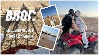 Медовый месяц в Египте💫влог из страны фараонов✨первый дайвинг✨встреча с акулой✨самое красивое море✨