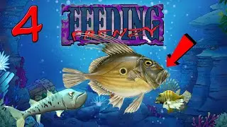 Feeding Frenzy||Часть 4 - John Dory Fish