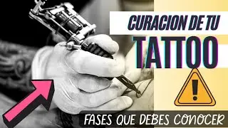 FASES de CURACIÓN de un Tatuaje en El Buho de Papel