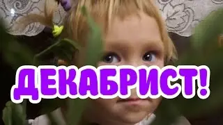 Фея цветов! Как весело пересадить цветок в новый горшок)
