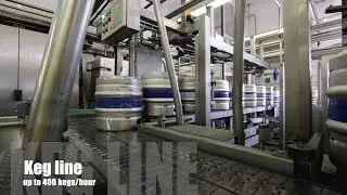 Keg line up to 240 kegs/hour