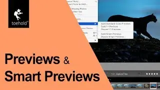 Difference between preview and smart preview in Lightroom