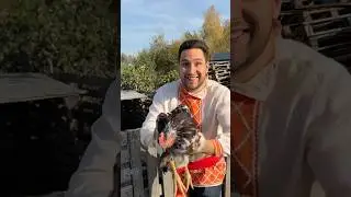 Затируха от Русича 🔥