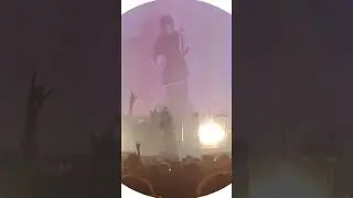 ПЛЮС ВАЙБ 