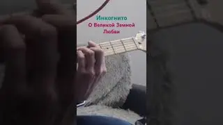 Инкогнито - ОВЗЛ