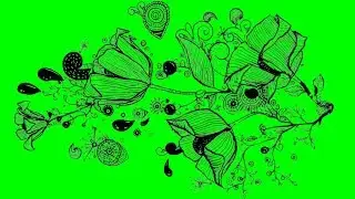 ANIMATED FLOWERS green screen