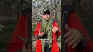 tg: Kovalenko_club
