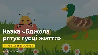 Аудіоказка «Бджола рятує гусці життя» | Читає: Сергій Філатов