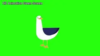 Duck Animation Green Screen