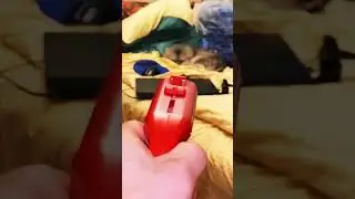 Ожидайте мувик в течение часа)