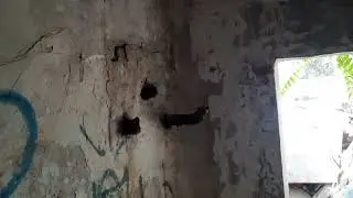 Таинственные подземелья заброшенного винзавода.