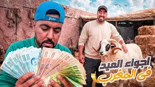 تحضيرات عيد الأضحى 2026 | جولة وسط الحولي ونصائح مهمة قبل شراء الأضحية 🐑