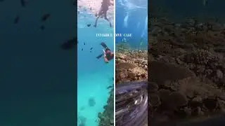 Meet the Invisible Dive Case by Insta360 🔥