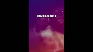 Gue Pequeno e Fred De Palma UBRIACHI spendono €4.500