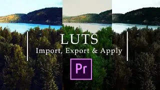 Working with LUTs in Premiere Pro | Import, Export and Apply LUTs | Premiere Pro Tutorial | 2021