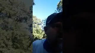 Front yard overseeding & clean-up - Part 4