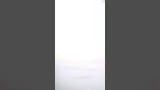 ٧ نوفمبر، ٢٠١٩