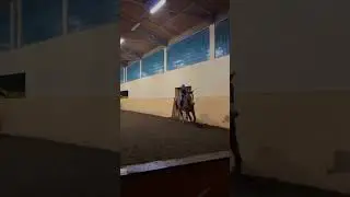 😱ООО😱НЕТ😱 The saddest horse #shorts #horse #sports #tegs