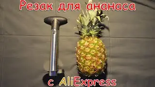 Резак для ананаса с AliExpress. Покупать или не покупать?