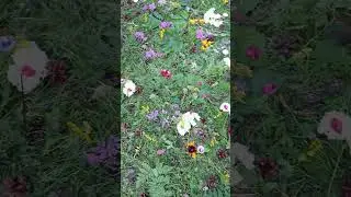 создаём 