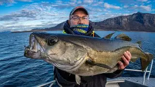 Angeln in Norwegen: 7. Saltstraumen Festival 2021 und Besichtigung des Camps Saltstraumen Brygge