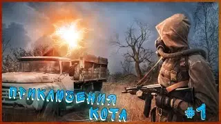 СТАЛКЕР ПО ПРОЗВИЩУ КОТ. Фильм первый - Начало конца