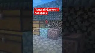Попугай флексит под фонк! 