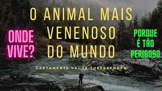 O Animal Mais Venenoso do Mundo -- Vai te Surpreender