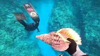 Deep Hawaiian Reef Spearfishing