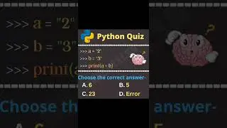 python quiz 