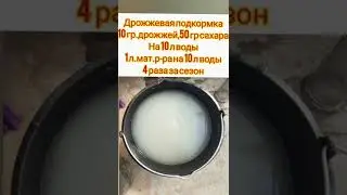 перец завалит урожаем