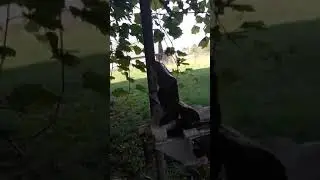 Опасность болгарки