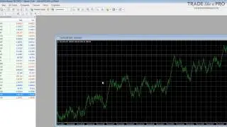 Golden Boy   торговая стратегия для XAUUSD gold